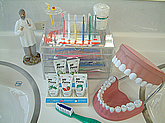 ブラッシング | 茨城県 牛久市 やました歯科・矯正歯科クリニック 予防歯科